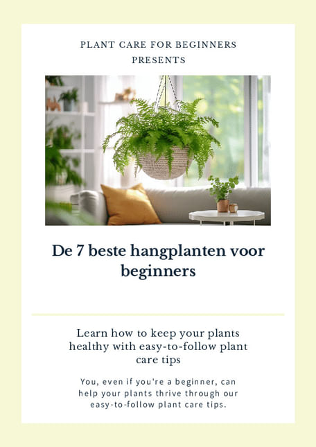 De 7 beste hangplanten voor beginners