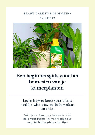 Een beginnersgids voor het bemesten van je kamerplanten