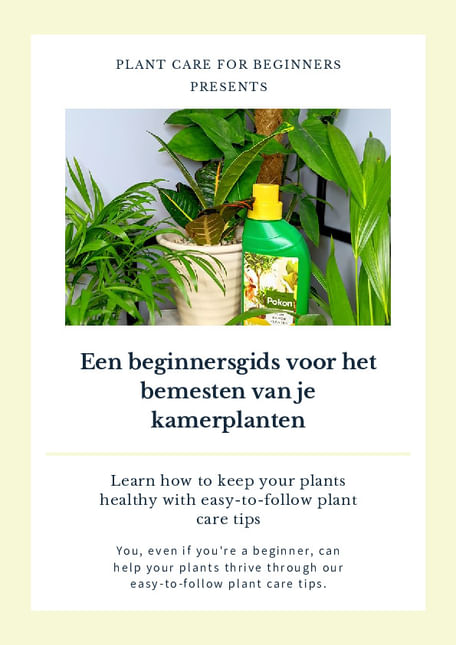 Een beginnersgids voor het bemesten van je kamerplanten