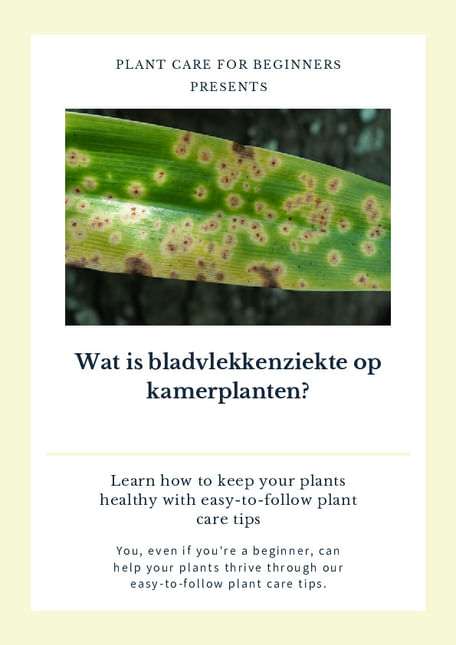 Wat is bladvlekkenziekte op kamerplanten?