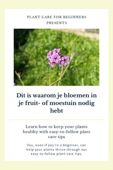 Dit is waarom je bloemen in je fruit- of moestuin nodig hebt