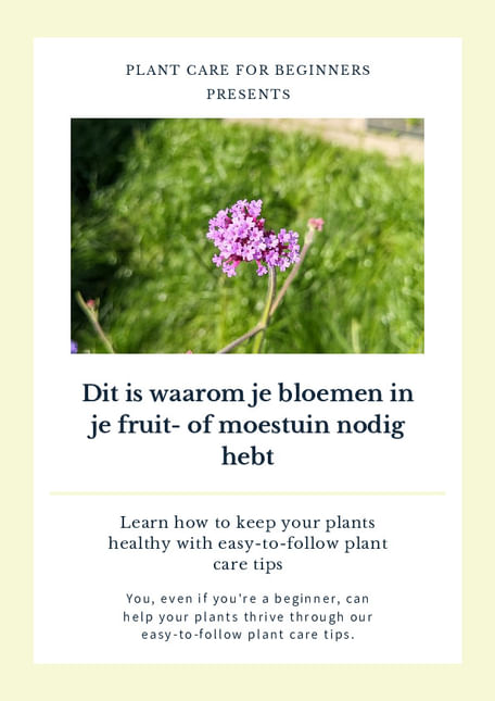 Dit is waarom je bloemen in je fruit- of moestuin nodig hebt