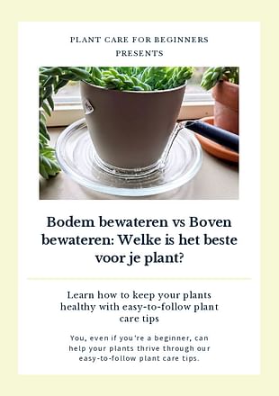 Bodem bewateren vs Boven bewateren: Welke is het beste voor je plant?