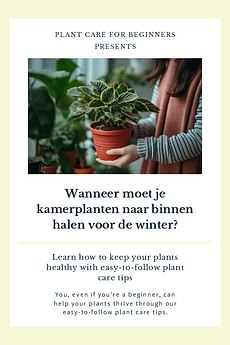 Wanneer moet je kamerplanten naar binnen halen voor de winter?