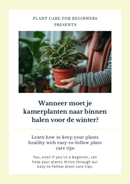 Wanneer moet je kamerplanten naar binnen halen voor de winter?