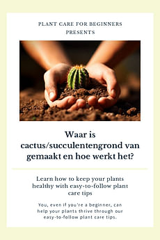 Waar is cactus/succulentengrond van gemaakt en hoe werkt het?