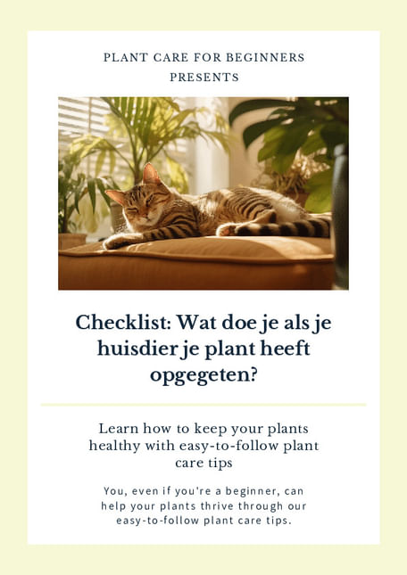 Checklist: Wat doe je als je huisdier je plant heeft opgegeten?