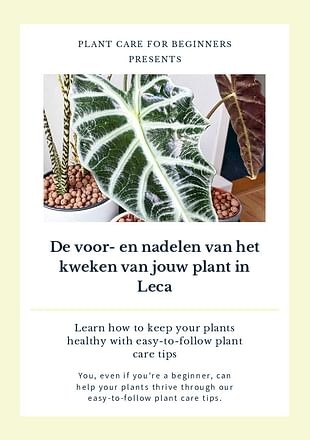 De voor- en nadelen van het kweken van jouw plant in Leca