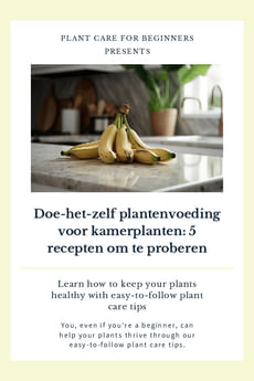 Doe-het-zelf plantenvoeding voor kamerplanten: 5 recepten om te proberen