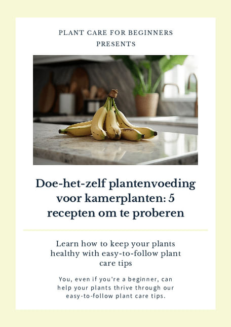 Doe-het-zelf plantenvoeding voor kamerplanten: 5 recepten om te proberen