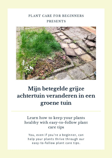 Mijn betegelde grijze achtertuin veranderen in een groene tuin