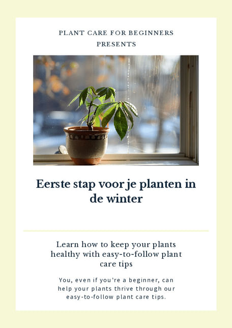 Eerste stap voor je planten in de winter