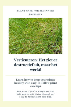 Verticuteren: Het ziet er destructief uit, maar het werkt!