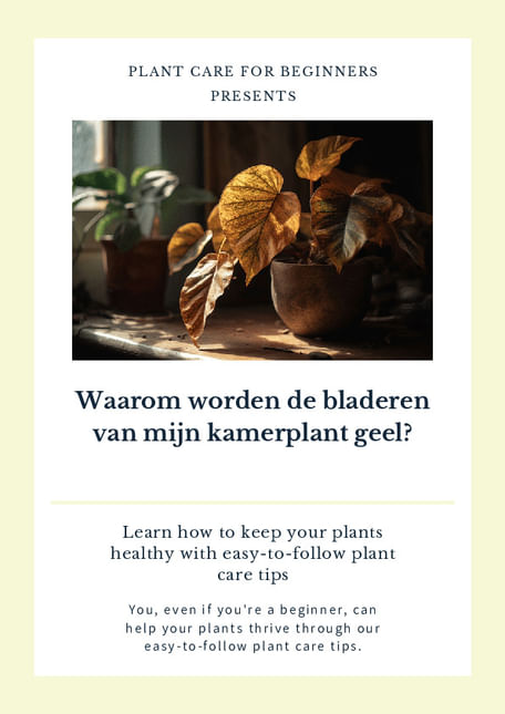 Waarom worden de bladeren van mijn kamerplant geel?