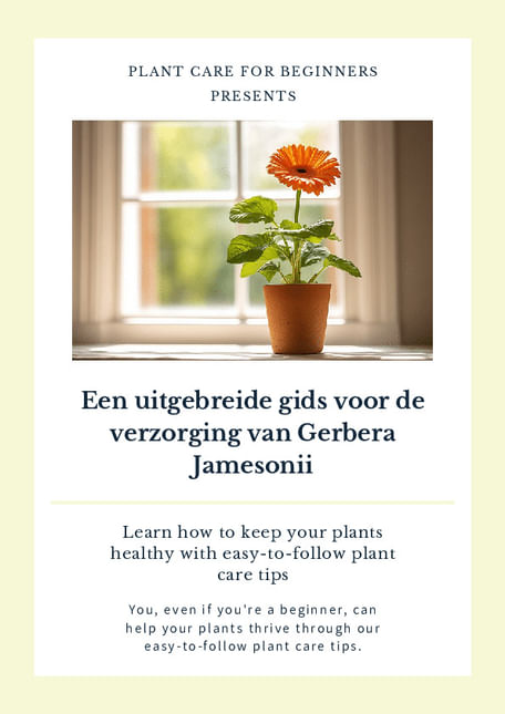Een uitgebreide gids voor de verzorging van Gerbera Jamesonii