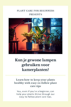 Kun je gewone lampen gebruiken voor kamerplanten?