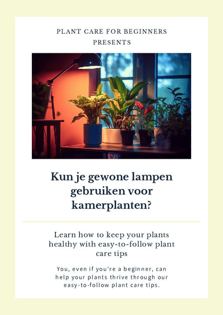 Kun je gewone lampen gebruiken voor kamerplanten?
