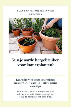Kun je aarde hergebruiken voor kamerplanten?