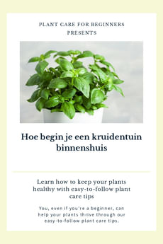 Hoe begin je een kruidentuin binnenshuis