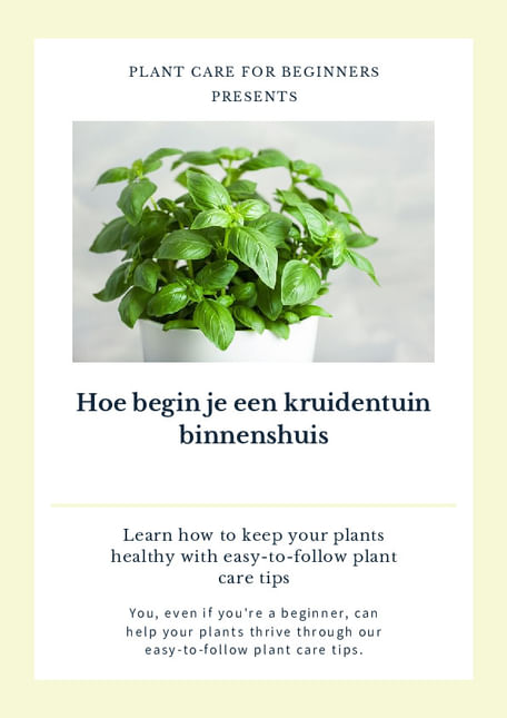 Hoe begin je een kruidentuin binnenshuis