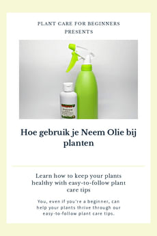 Hoe gebruik je Neem Olie bij planten