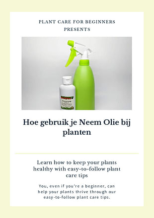 Hoe gebruik je Neem Olie bij planten