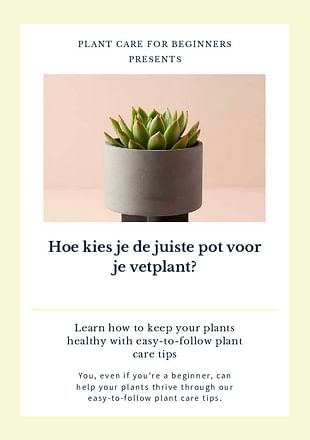 Hoe kies je de juiste pot voor je vetplant?