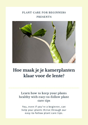 Hoe maak je je kamerplanten klaar voor de lente?