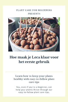 Hoe maak je Leca klaar voor het eerste gebruik