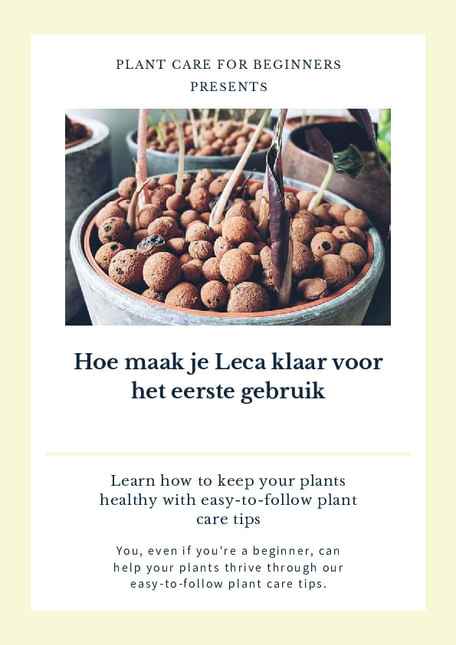 Hoe maak je Leca klaar voor het eerste gebruik