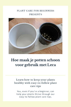 Hoe maak je potten schoon voor gebruik met Leca
