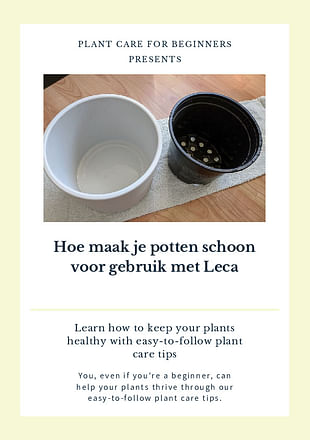 Hoe maak je potten schoon voor gebruik met Leca
