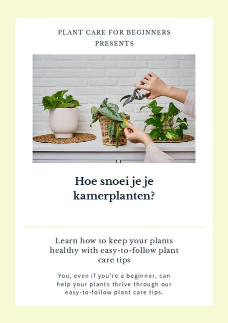 Hoe snoei je je kamerplanten?