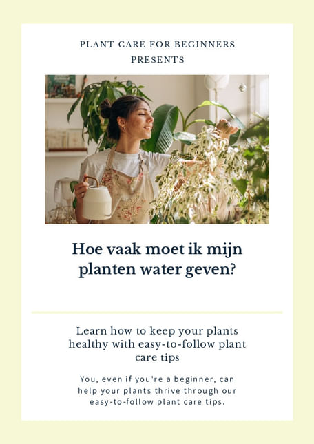 Hoe vaak moet ik mijn planten water geven?