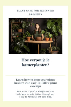 Hoe verpot je je kamerplanten?