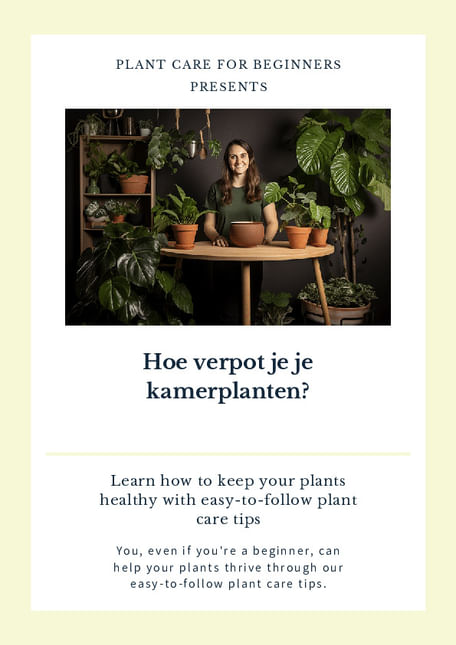Hoe verpot je je kamerplanten?