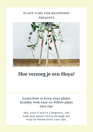 Hoe verzorg je een Hoya?