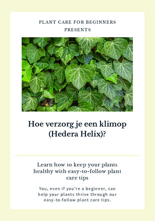 Hoe verzorg je een klimop (Hedera Helix)?