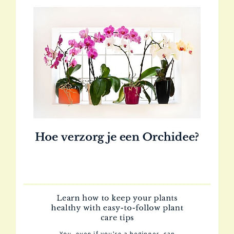 Hoe verzorg je een Orchidee?