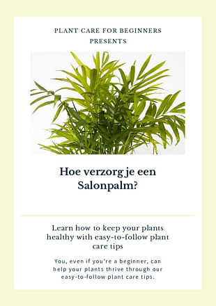 Hoe verzorg je een Parlor Palm?