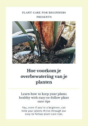 Hoe voorkom je overbewatering van je planten