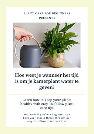 Hoe weet je wanneer het tijd is om je kamerplant water te geven?