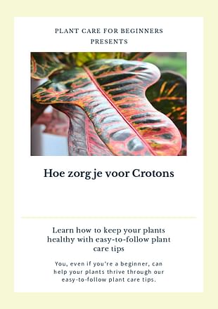 Hoe zorg je voor Crotons