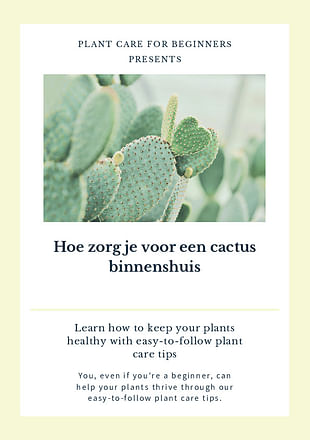 Hoe zorg je voor een cactus binnenshuis