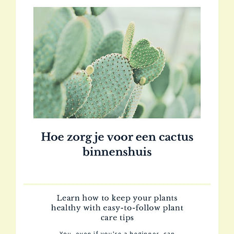 Hoe zorg je voor een cactus binnenshuis