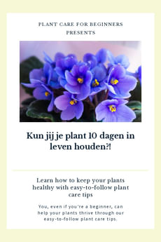 Kun jij je plant 10 dagen in leven houden?!