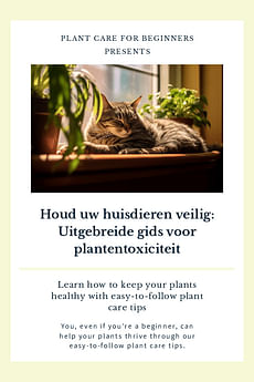 Houd uw huisdieren veilig: Uitgebreide gids voor plantentoxiciteit