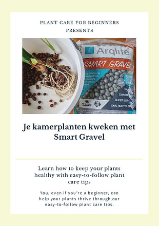 Je kamerplanten kweken met Smart Gravel