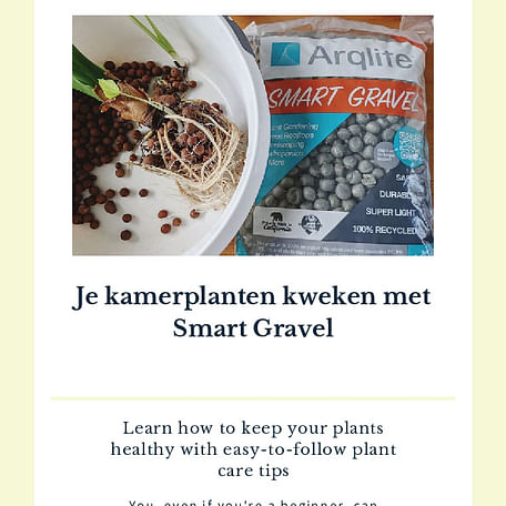 Je kamerplanten kweken met Smart Gravel