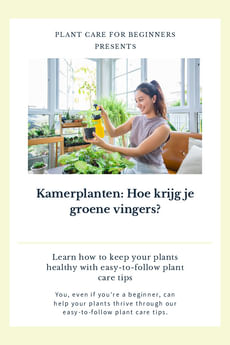 Kamerplanten: Hoe krijg je groene vingers?